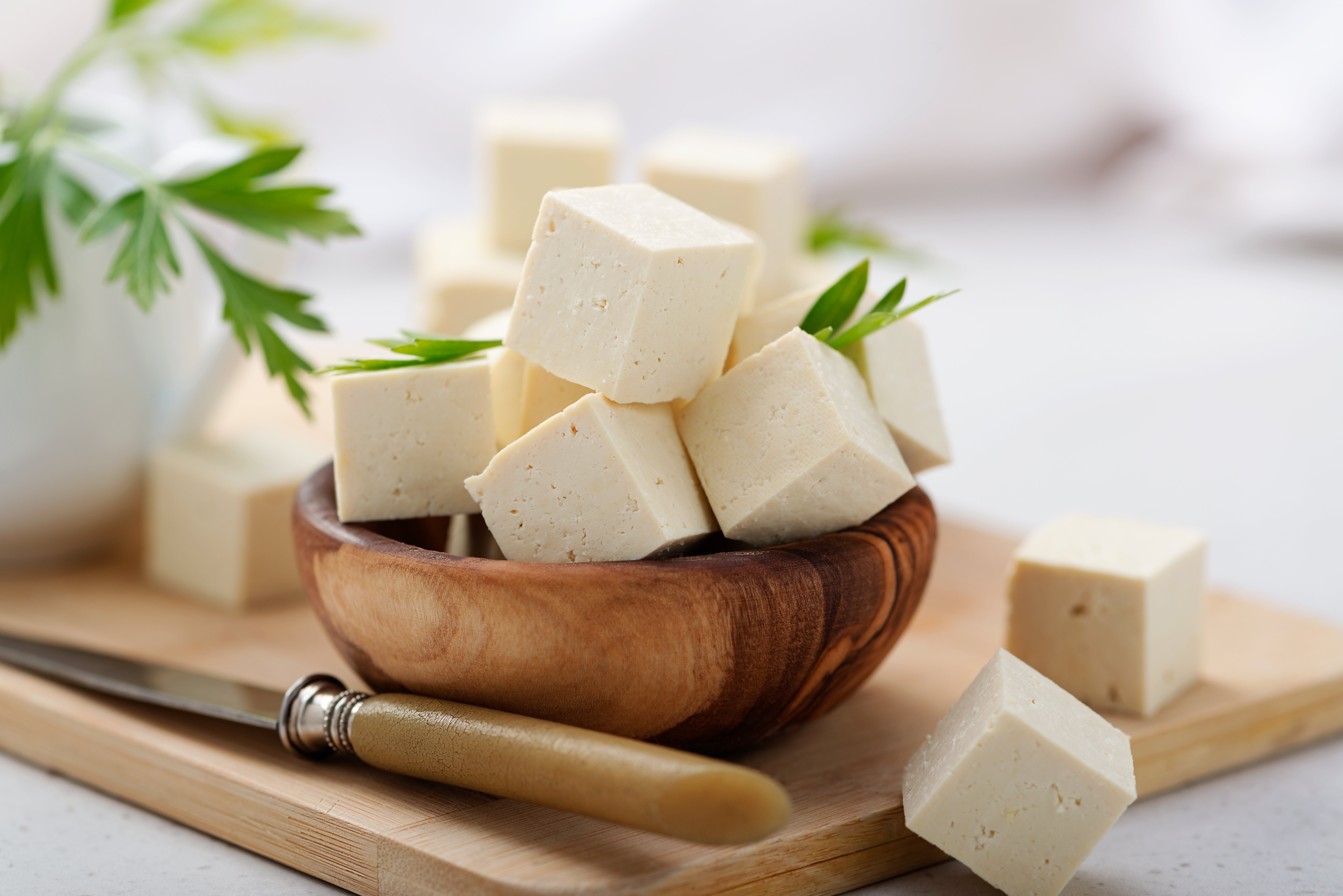 Substitutos Veganos: Uma Alternativa Saudável e Sustentável