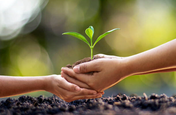 Agradeça e Inspire-se: 57 Frases para Cada Fase da Sua Jornada